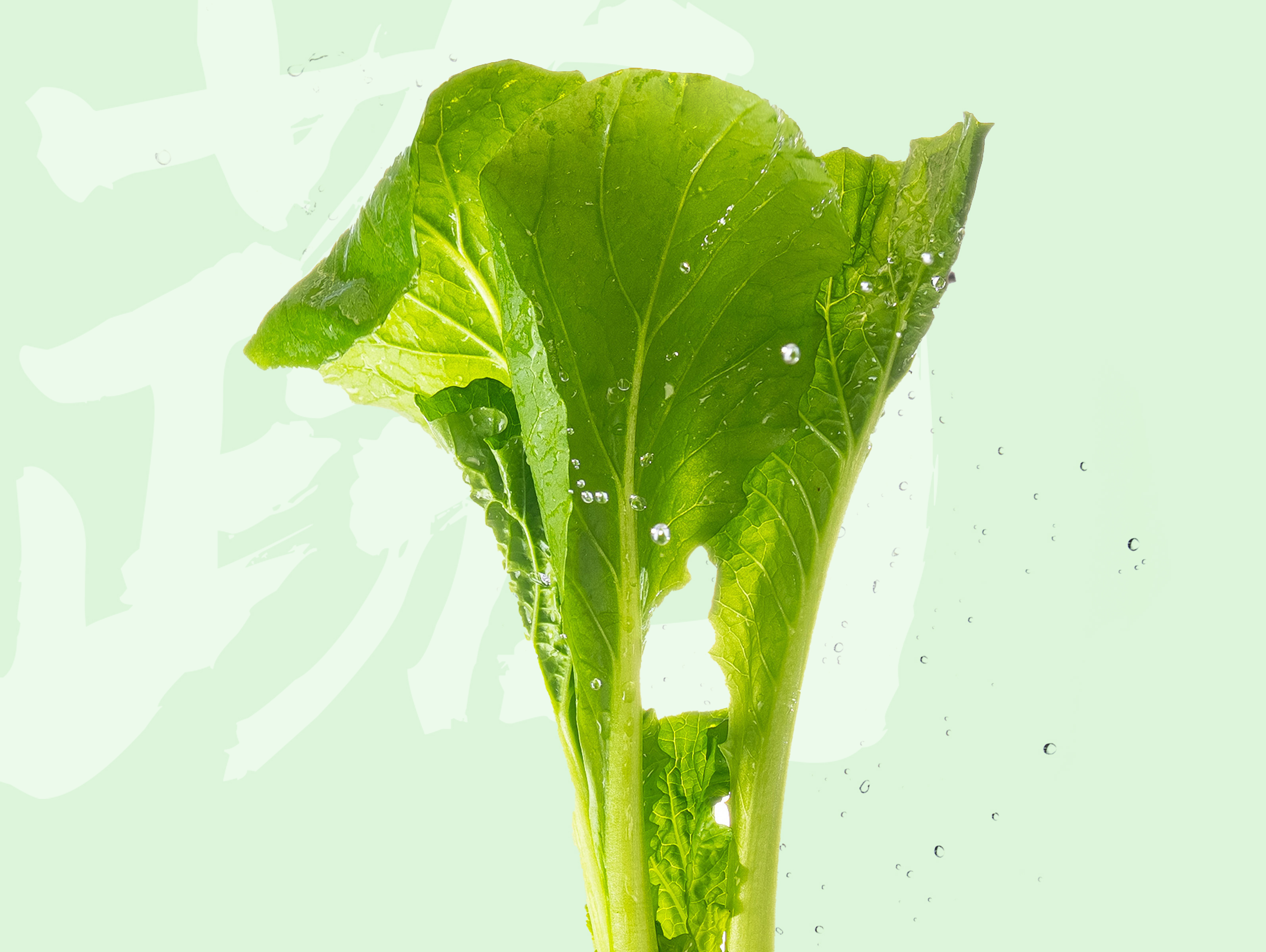 张亮麻辣烫的食材柜里，哪几种食材夏天最“值”？
