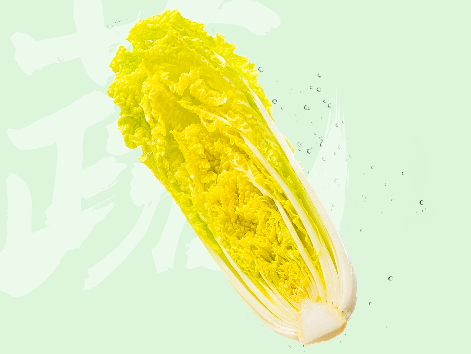 娃娃菜1.jpg